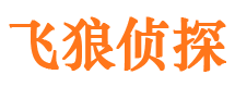 蚌山外遇出轨调查取证